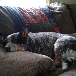 Meet your Posher, Dianna